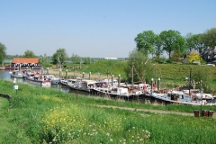 Gillissendag 2008 013