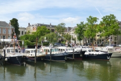 20150523-P1080039-Groot