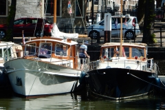 20150524-DSCN1059-Groot