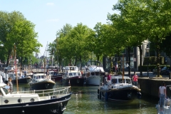 20150524-P1080093-Groot
