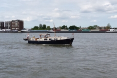 20150525-20150525_115811-Groot