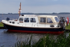 Stormvogel