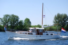 Zilvermeeuw