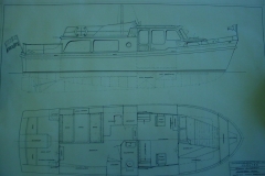 ThG19